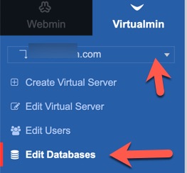 virtualmin edit database menu